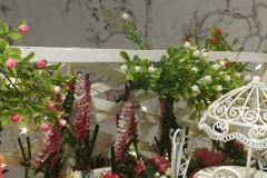 magic_garden46