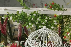 magic_garden55